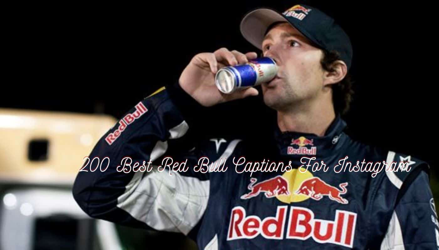 200 Best Red Bull Captions For Instagram